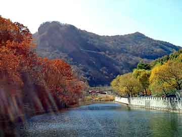 天天彩好彩天天免费，小甜甜 台湾